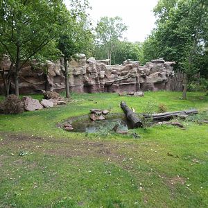 Pampas enclosure in new South America exhibit (2)