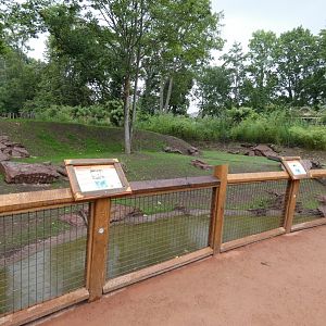 Viewing area in new South America exhibit