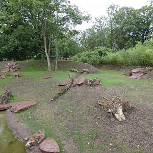 View of Patagonian area in new South America exhibit