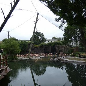 View of Flamingo Lagoon