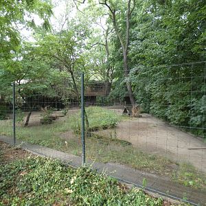 Current Maned Wolf enclosure