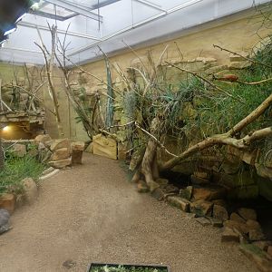 Radiated Tortoise and Panther Chameleon enclosure