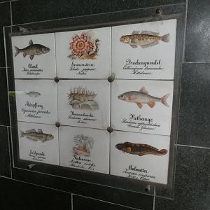 Tiled Signage in Aquarium