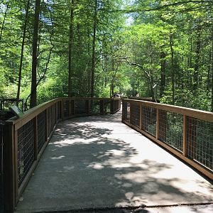 NC Zoo: Cypress Boardwalk