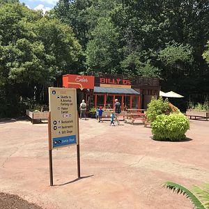 NC Zoo: Southern Fried Chicken in the African Village