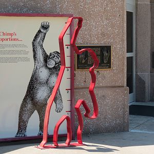 Chimpanzee Connection - Building Exterior