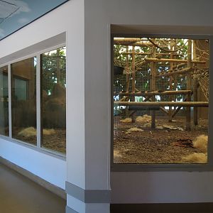 Chimpanzee Connection - Building Interior - Dayroom