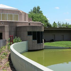 Chimpanzee Connection - Outdoor Exhibit