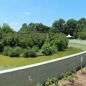Chimpanzee Connection - Outdoor Exhibit