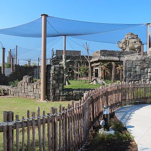 Lost Kingdom - Siamang Exhibit