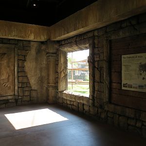 Lost Kingdom - Viewing Building Interior - Siamang Exhibit Window