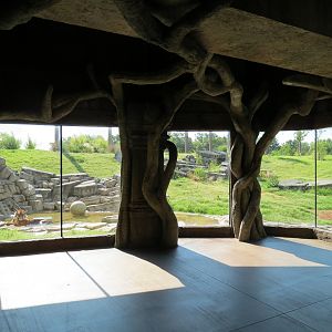 Lost Kingdom - Malayan Tiger Exhibit 1