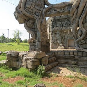 Lost Kingdom - Malayan Tiger Exhibit 1
