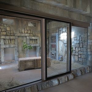 Lost Kingdom - Malayan Tiger Exhibit 1