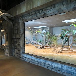 Lost Kingdom - Komodo Dragon Exhibit 1