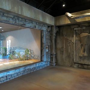 Lost Kingdom - Komodo Dragon Exhibit 1