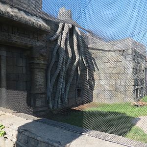 Lost Kingdom - Komodo Dragon Exhibit 2