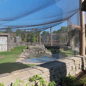 Lost Kingdom - Komodo Dragon Exhibit 2