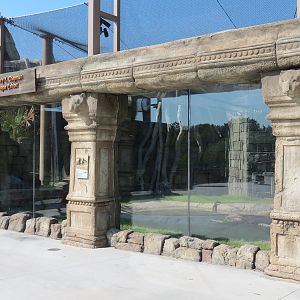 Lost Kingdom - Komodo Dragon Exhibit 2