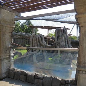 Lost Kingdom - Binturong Exhibit (Summer) or Red Panda Exhibit (Winter)