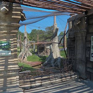 Lost Kingdom - Aviary Exhibit