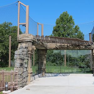 Lost Kingdom - Malayan Tiger Exhibit 2