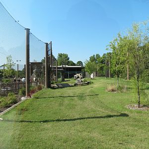 Lost Kingdom - Malayan Tiger Exhibit 2