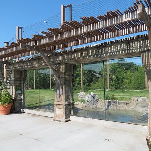 Lost Kingdom - Malayan Tiger Exhibit 2