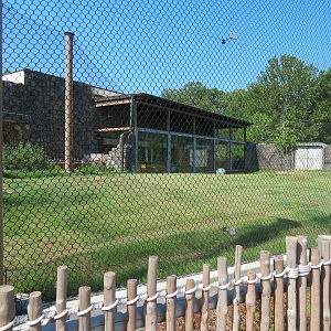 Lost Kingdom - Malayan Tiger Exhibit 2