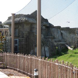 Lost Kingdom - Malayan Tiger Exhibit 2