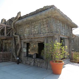 Lost Kingdom - Snow Leopard Exhibit - Dayroom