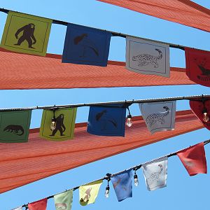 Lost Kingdom - Snow Leopard Exhibit - Prayer Flags