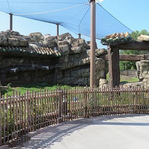 Lost Kingdom - Snow Leopard Exhibit