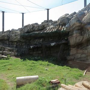 Lost Kingdom - Snow Leopard Exhibit