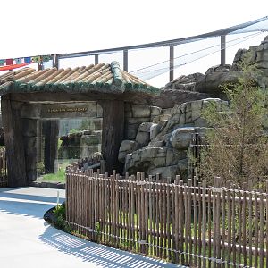 Lost Kingdom - Snow Leopard Exhibit