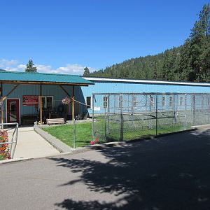 Parrot Island Sanctuary