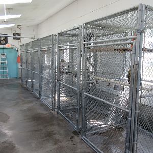 Bird Cages - the largest ones in the facility