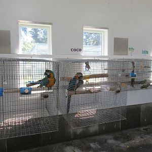 Standard Bird Cages