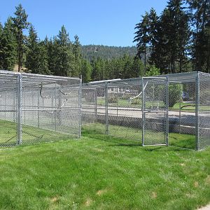 Outdoor Aviaries (Empty)