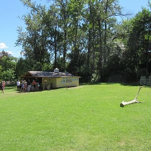 Sugar Glider Presentation Area