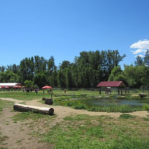 Free-Roaming Macropod Area