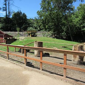 Vietnamese Pot-bellied Pig/Goat Yard