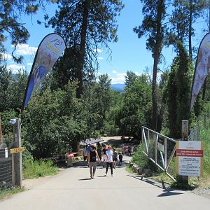 Zoo Entrance - a steep walkway