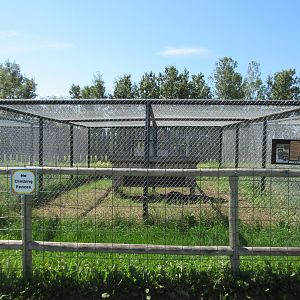 Raccoon Exhibit (currently no raccoons are at the zoo)