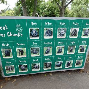 Chimp ID sign