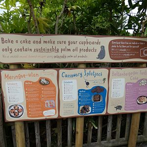 Cake recipies by RORA exit