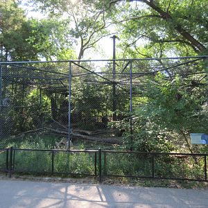Great Grey Owl Exhibit
