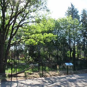 Grey Wolf Exhibit - New in 2018