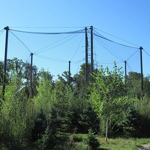 Journey to Churchill - Snowy Owl Exhibit