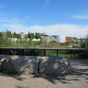 Journey to Churchill - Woodland Caribou Exhibit Viewing Area